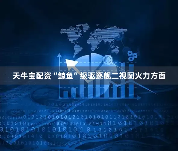 天牛宝配资“鲸鱼”级驱逐舰二视图火力方面