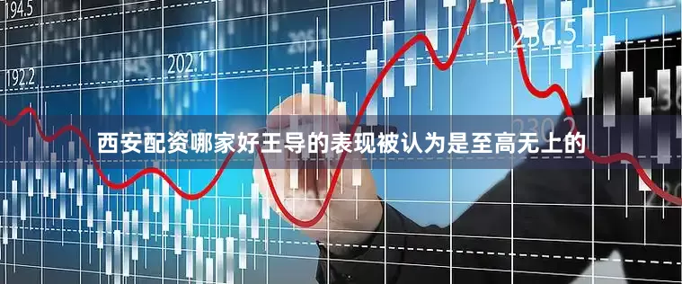 西安配资哪家好王导的表现被认为是至高无上的
